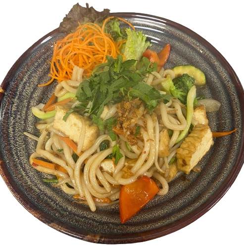 Udon-Nudeln Bio-Tofu (vegetarisch)