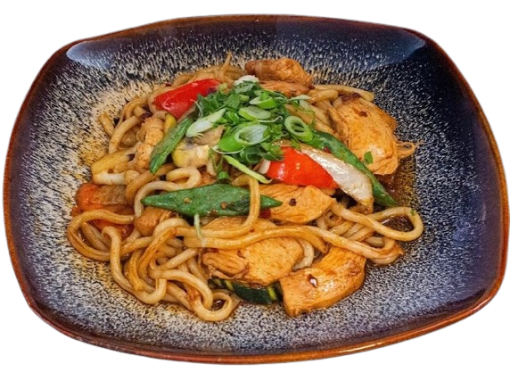Udon-Nudeln gà